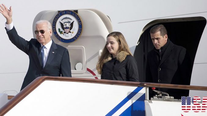 joe-hunter-biden jet wave usa