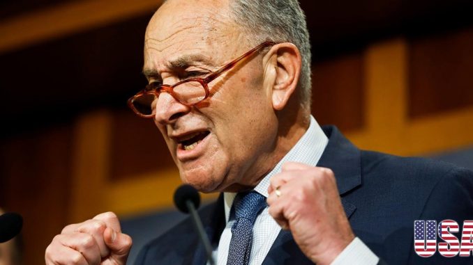 schumer angry 2 usa